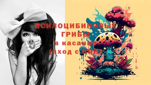 прущий лед Армянск