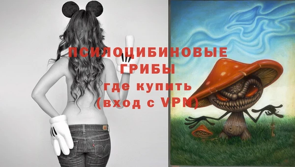 прущий лед Армянск